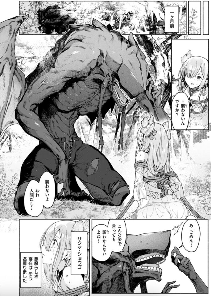 Croriin「悪魔の花嫁」の紹介画像